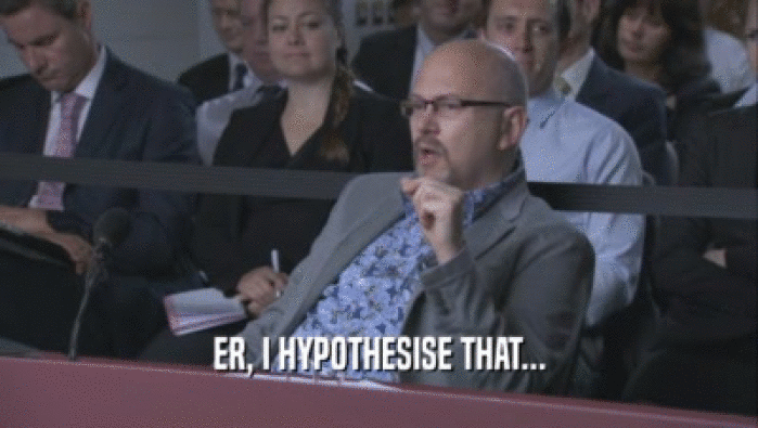 ER, I HYPOTHESISE THAT...  