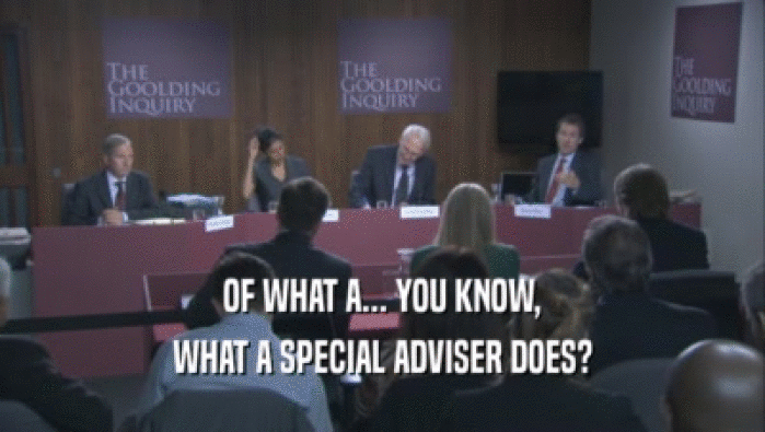 OF WHAT A... YOU KNOW,
 WHAT A SPECIAL ADVISER DOES?
 