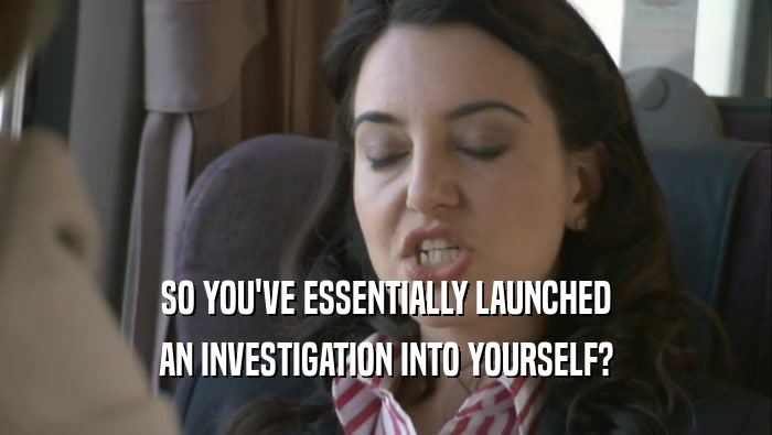 SO YOU'VE ESSENTIALLY LAUNCHED AN INVESTIGATION INTO YOURSELF? 