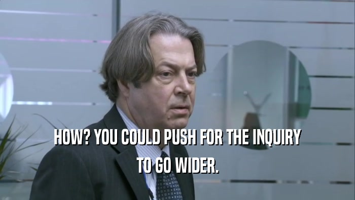 HOW? YOU COULD PUSH FOR THE INQUIRY TO GO WIDER. 