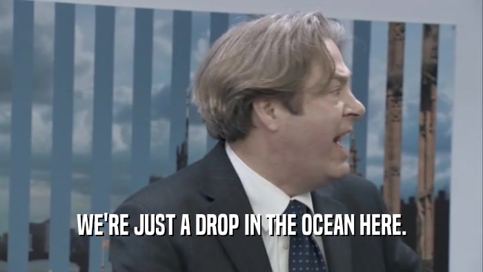 WE'RE JUST A DROP IN THE OCEAN HERE.  
