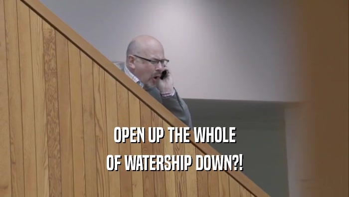 OPEN UP THE WHOLE OF WATERSHIP DOWN?! 