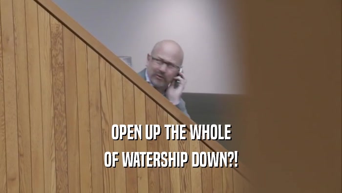 OPEN UP THE WHOLE OF WATERSHIP DOWN?! 