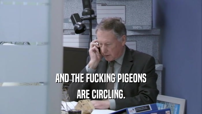 AND THE FUCKING PIGEONS
 ARE CIRCLING.
 