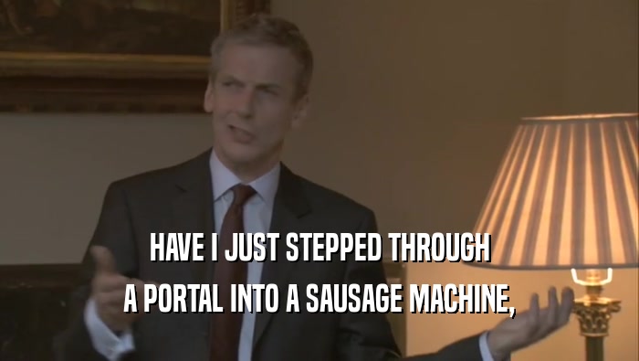 HAVE I JUST STEPPED THROUGH A PORTAL INTO A SAUSAGE MACHINE, 