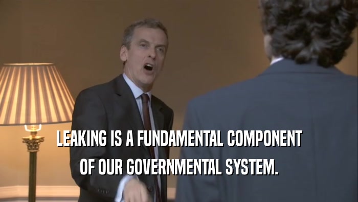 LEAKING IS A FUNDAMENTAL COMPONENT
 OF OUR GOVERNMENTAL SYSTEM.
 