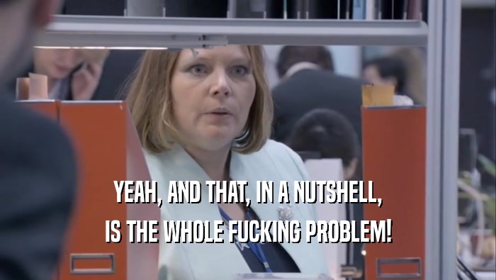 YEAH, AND THAT, IN A NUTSHELL, IS THE WHOLE FUCKING PROBLEM! 