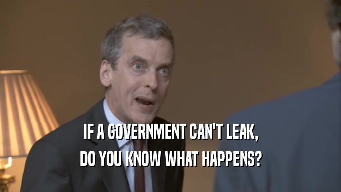 IF A GOVERNMENT CAN'T LEAK,
 DO YOU KNOW WHAT HAPPENS?
 