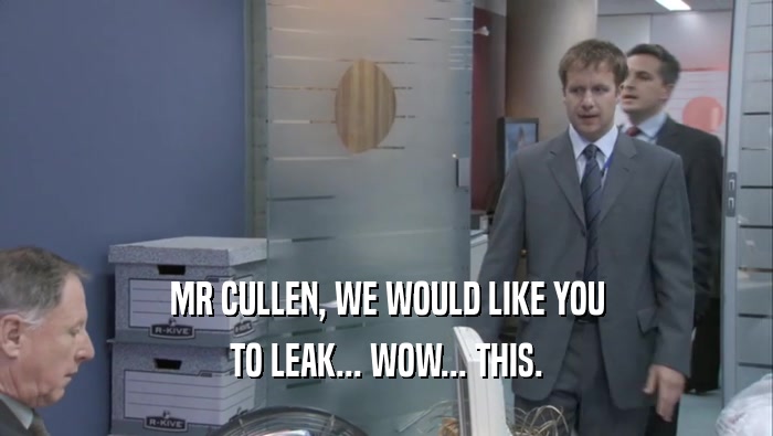 MR CULLEN, WE WOULD LIKE YOU TO LEAK... WOW... THIS. 