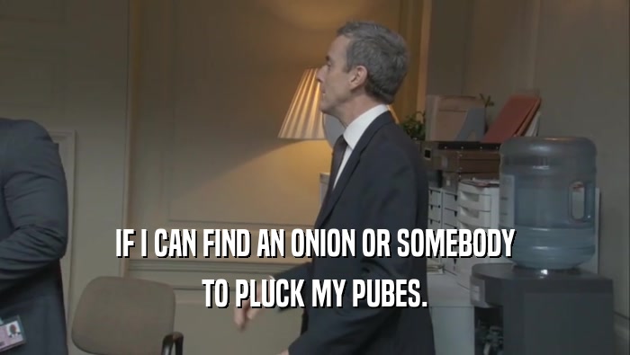 IF I CAN FIND AN ONION OR SOMEBODY TO PLUCK MY PUBES. 
