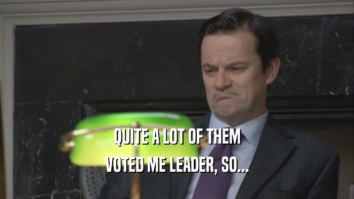 QUITE A LOT OF THEM
 VOTED ME LEADER, SO...
 