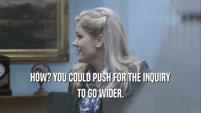 HOW? YOU COULD PUSH FOR THE INQUIRY TO GO WIDER. 