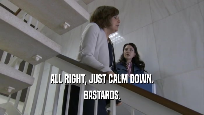 ALL RIGHT, JUST CALM DOWN. BASTARDS. 