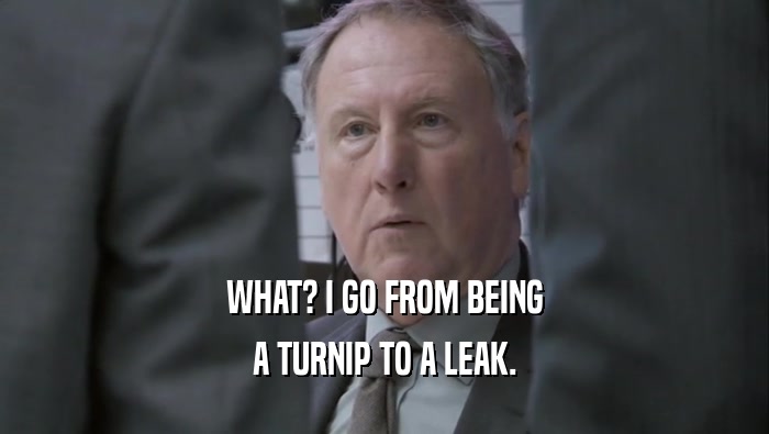 WHAT? I GO FROM BEING A TURNIP TO A LEAK. 