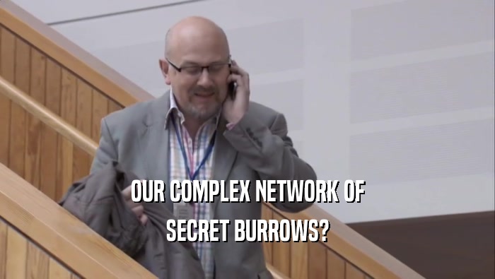 OUR COMPLEX NETWORK OF SECRET BURROWS? 