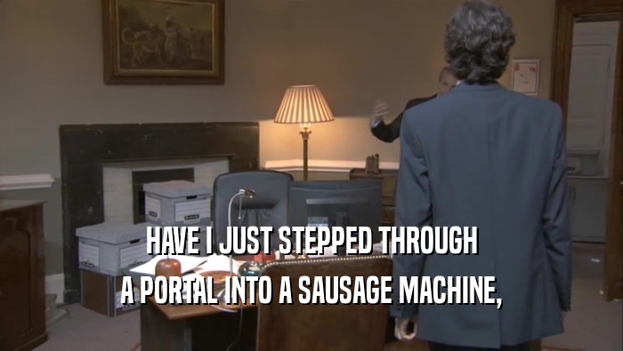 HAVE I JUST STEPPED THROUGH A PORTAL INTO A SAUSAGE MACHINE, 