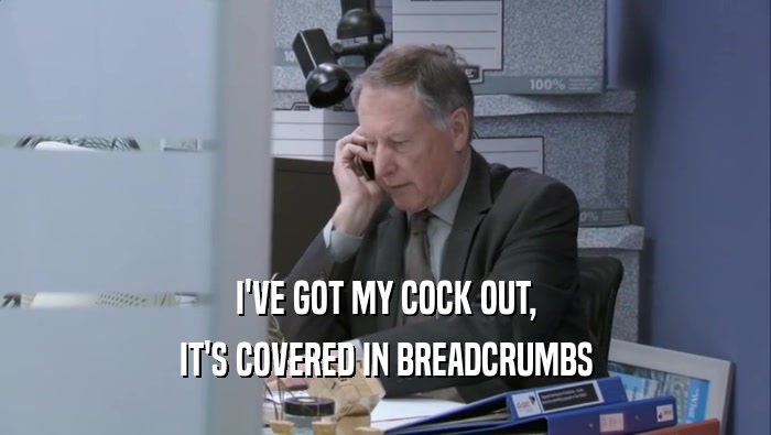I'VE GOT MY COCK OUT, IT'S COVERED IN BREADCRUMBS 
