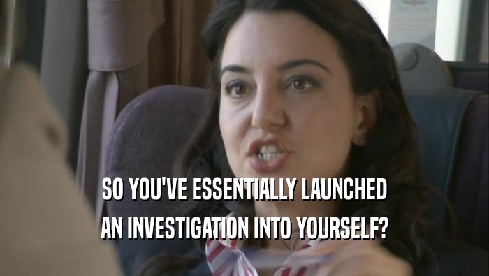SO YOU'VE ESSENTIALLY LAUNCHED AN INVESTIGATION INTO YOURSELF? 