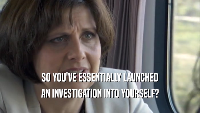 SO YOU'VE ESSENTIALLY LAUNCHED AN INVESTIGATION INTO YOURSELF? 