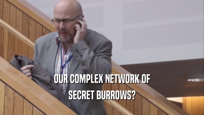 OUR COMPLEX NETWORK OF SECRET BURROWS? 