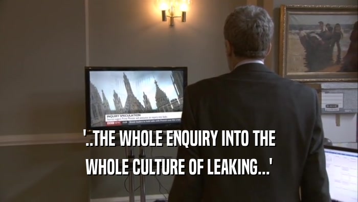 '..THE WHOLE ENQUIRY INTO THE WHOLE CULTURE OF LEAKING...' 