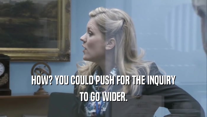 HOW? YOU COULD PUSH FOR THE INQUIRY TO GO WIDER. 