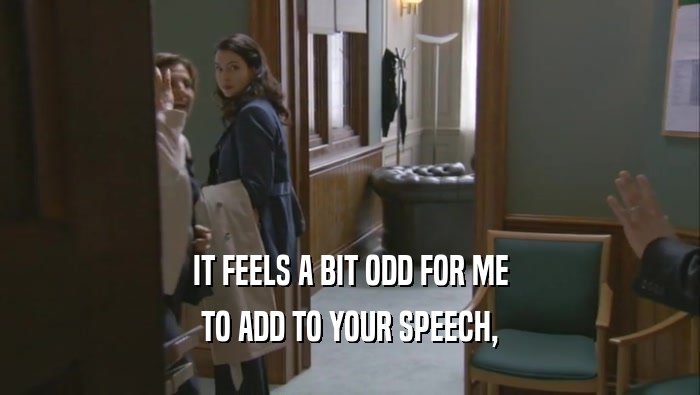 IT FEELS A BIT ODD FOR ME TO ADD TO YOUR SPEECH, 