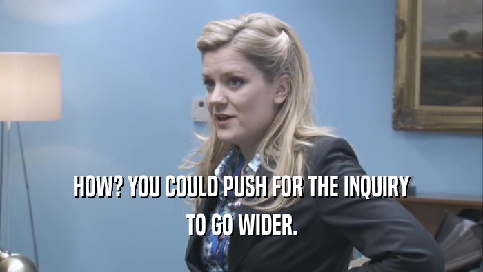 HOW? YOU COULD PUSH FOR THE INQUIRY TO GO WIDER. 