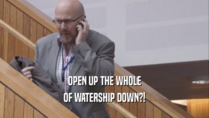 OPEN UP THE WHOLE OF WATERSHIP DOWN?! 