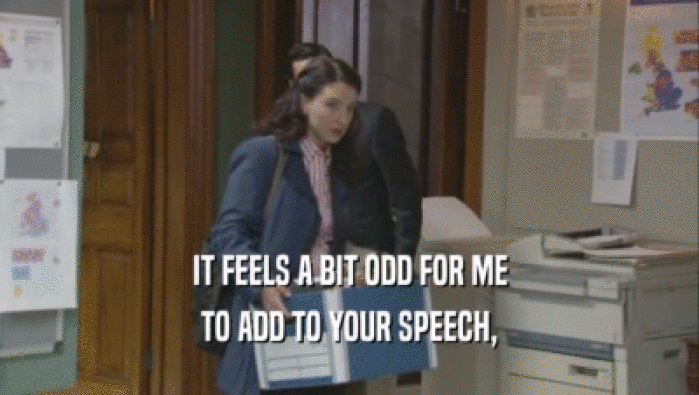 IT FEELS A BIT ODD FOR ME TO ADD TO YOUR SPEECH, 