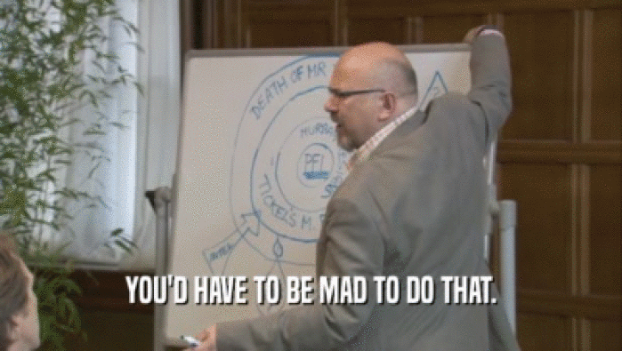 YOU'D HAVE TO BE MAD TO DO THAT.  