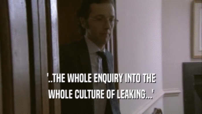 '..THE WHOLE ENQUIRY INTO THE
 WHOLE CULTURE OF LEAKING...'
 