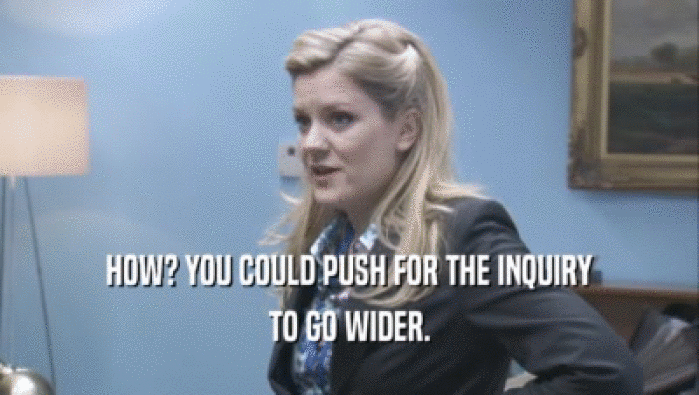 HOW? YOU COULD PUSH FOR THE INQUIRY TO GO WIDER. 