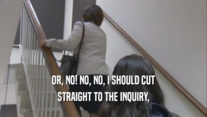OR, NO! NO, NO, I SHOULD CUT STRAIGHT TO THE INQUIRY, 