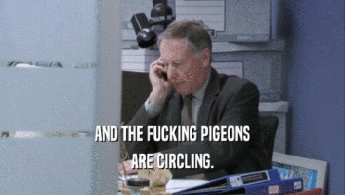 AND THE FUCKING PIGEONS
 ARE CIRCLING.
 