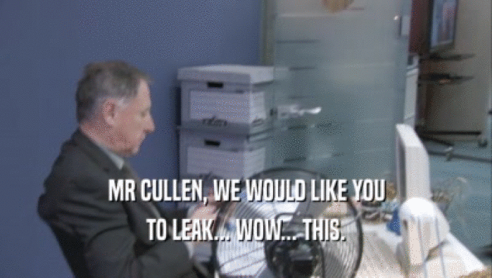 MR CULLEN, WE WOULD LIKE YOU TO LEAK... WOW... THIS. 