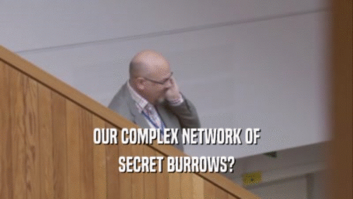 OUR COMPLEX NETWORK OF SECRET BURROWS? 