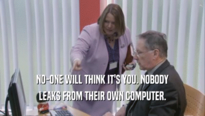 NO-ONE WILL THINK IT'S YOU. NOBODY LEAKS FROM THEIR OWN COMPUTER. 