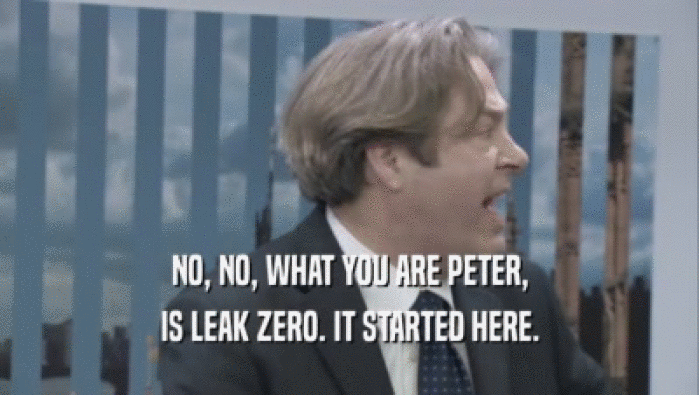 NO, NO, WHAT YOU ARE PETER,
 IS LEAK ZERO. IT STARTED HERE.
 