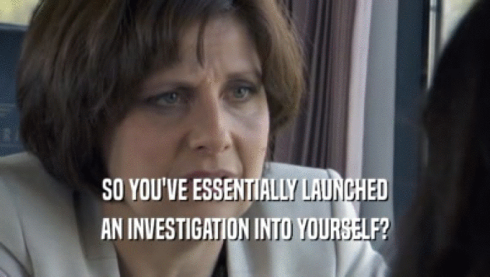 SO YOU'VE ESSENTIALLY LAUNCHED AN INVESTIGATION INTO YOURSELF? 