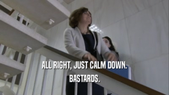 ALL RIGHT, JUST CALM DOWN. BASTARDS. 
