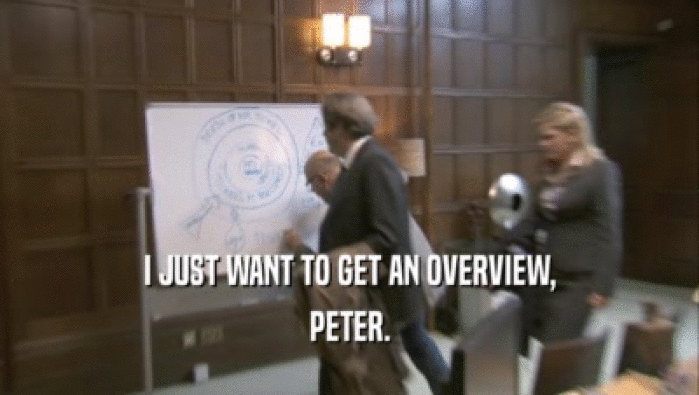 I JUST WANT TO GET AN OVERVIEW,
 PETER.
 
