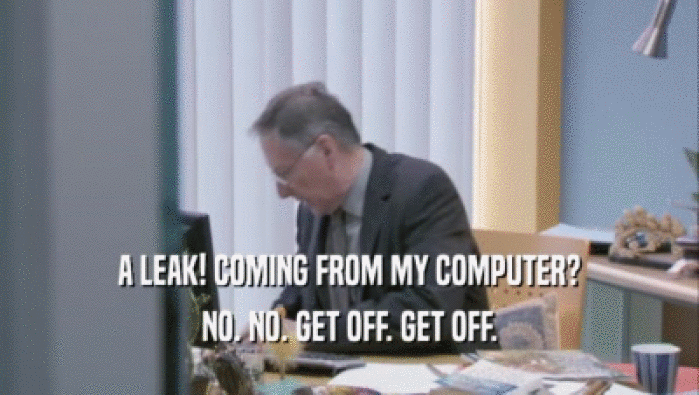 A LEAK! COMING FROM MY COMPUTER? NO. NO. GET OFF. GET OFF. 