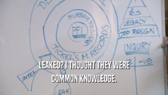 LEAKED? I THOUGHT THEY WERE COMMON KNOWLEDGE. 